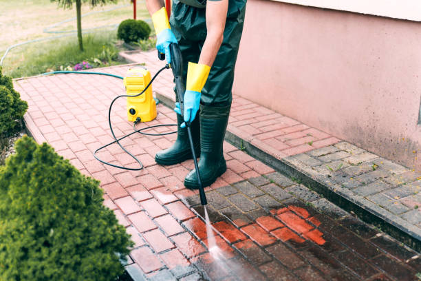 Best Roof Washing  in Perry, IA